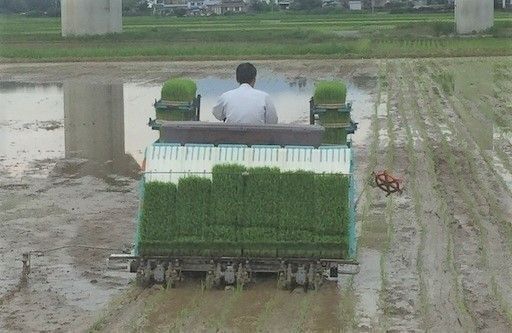 コイン精米機の使い方は、簡単です。精米したてはやっぱりうまいですよ。2