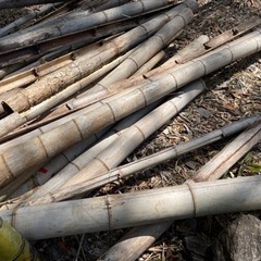 🔥焚火用　枯れた竹や枝