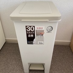 ゴミ箱30L