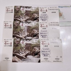 長島温泉の入館券＆ナガシマスパーランドの招待券