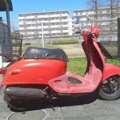 HONDA giorcub 50cc