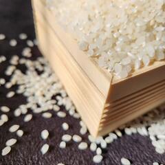 【ネット決済】令和５年産新米　三田米　どんとこい玄米(10キロ)