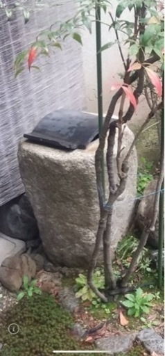 筑波石　つくばい
