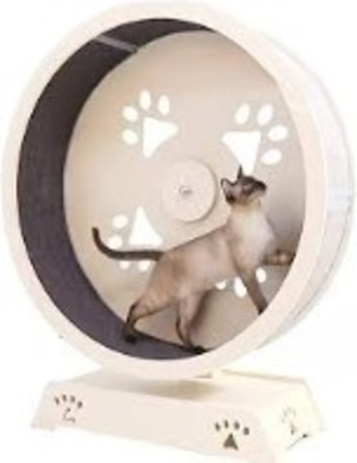 キャットホイール 回し車 猫