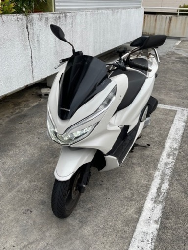 5日間限定