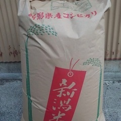 【残り1袋！】新潟県　令和4年度コシヒカリ30キロ玄米