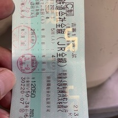 【ネット決済・配送可】18切符　きっぷ　残り2回分