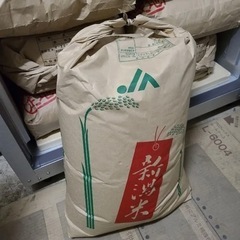 【新潟価格】新潟県　令和4年度コシヒカリ30キロ玄米