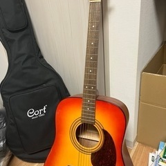 アコースティックギター +α