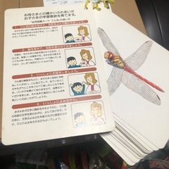 【行き先決定】幼児図鑑カード　こん虫
