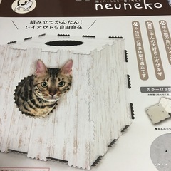 neuneko Box ねう猫ボックス