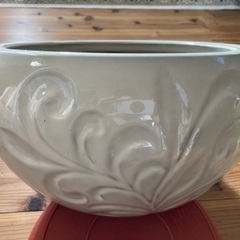 白い陶器の植木鉢