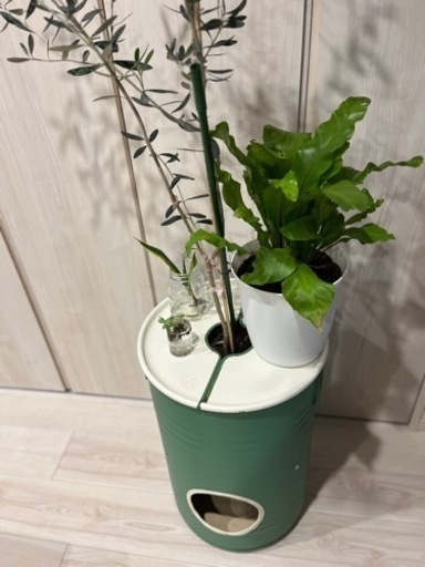 ペール缶プランター　手作り一点物になります。