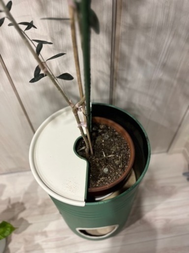 ペール缶プランター　手作り一点物になります。