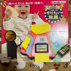 いたずら1歳やりたい放題ビッグプラス