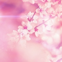 3/30(木)【募集中】春です!歌いませんか!