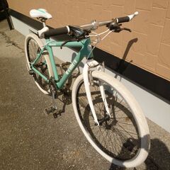 ▼値下げしました▼【手渡し限定】Bianchi  Collina　チェレステカラー