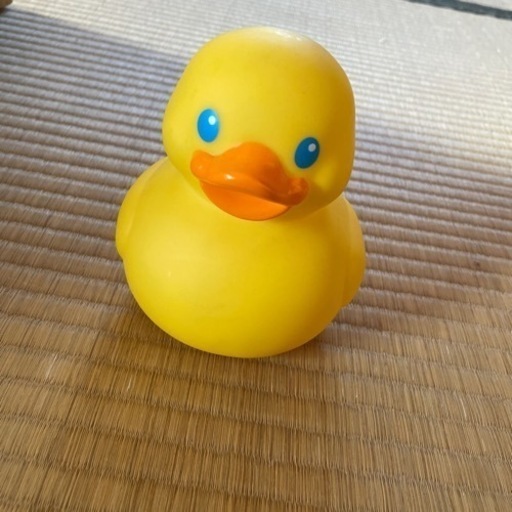 アヒルちゃん貯金箱 ptpnix.co.id