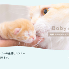 BabyPlusはそのベビーちゃんと飼い主様を専任コンシェルジュが「つなぐ」サービスです。 - 仙台市