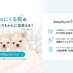 BabyPlusはそのベビーちゃんと飼い主様を専任コンシェルジュが「つなぐ」サービスです。 - ペット