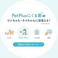 BabyPlusはそのベビーちゃんと飼い主様を専任コンシェルジュが「つなぐ」サービスです。 − 宮城県
