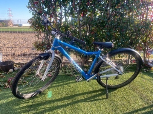 WOOM6 自転車 26インチ ジュニア キッズ 女性 レア 希少