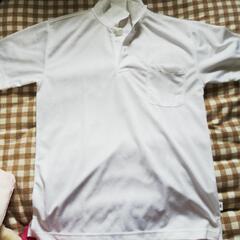 白ポロシャツ