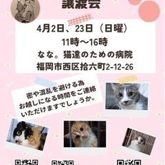 4/2 ねこ組🐾福岡中譲渡会atなな。猫達のための病院