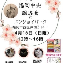 4/16 ねこ組🐾福岡中央譲渡会　エンジョイパーク