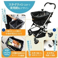 エコカ ショッピングカート 未使用 保冷マイバッグセット 引き取り限定