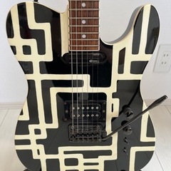 フェルナンデス　TE120SHT