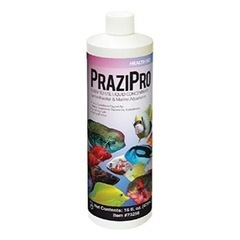 【ネット決済・配送可】Prazipro  30ml (450L用)