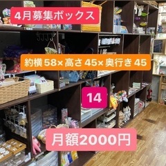 2023/03/21（火）4月募集ボックスと募集中ボックスになります♪