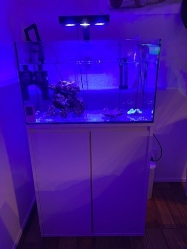 コトブキフラット水槽600 水槽台ホワイト　外部フィルター　ナノLED ミニスキマー