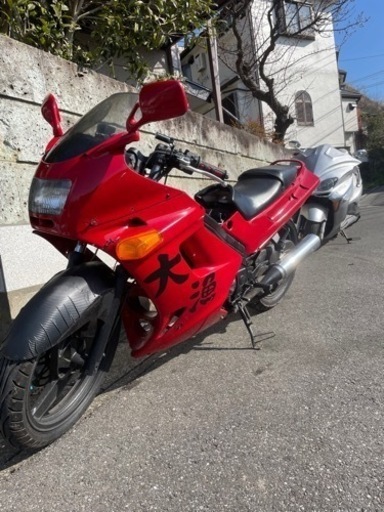 zzr250 ジージーアール カワサキ 実動 | centrobibliotecario.cl