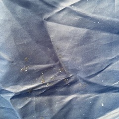 ネイピア　スポーツトラックテント