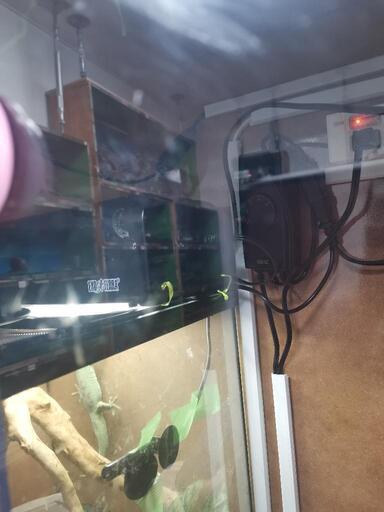 格安 exo terra ヒルヤモリ飼育に使用していた飼育用品一式 ガラスケージ・ライト・サーモスタット等 格安 exo terra ヒルヤモリ飼育に使用していた飼育用品一式 ガラス