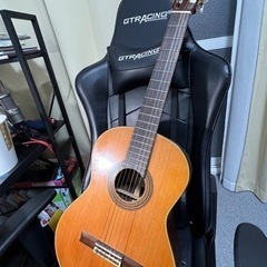Aria a30s guitar 