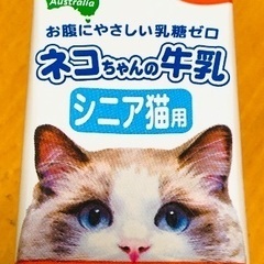 お値下げしました‼︎　100m×36本　ネコの牛乳　シニア猫用　