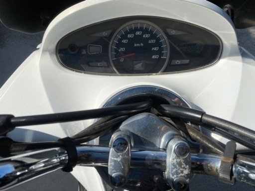 ロー JURASSIC WORLD｜CA4LA FLIGHT CAP 水泳 帽