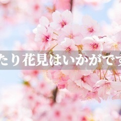 🚨急募🚨4/1(土)代々木公園でお花見を楽しもう🌸