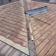 屋根・雨樋の修理・外壁の修理 塗装おまかせください！
