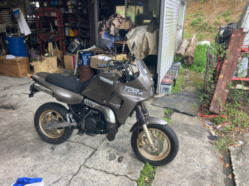 ヤマハ TDR50