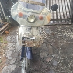 HONDA スーパーカブ 50