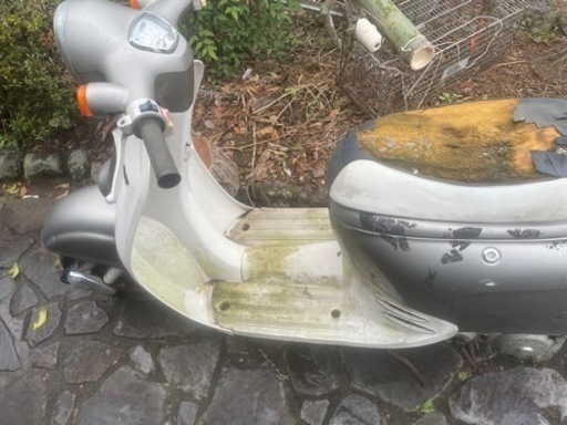 決まりました。HONDA ジョルノ　現状品