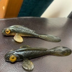 愛知県のバス釣りの中古が安い！激安で譲ります・無料であげます