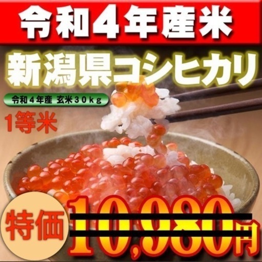特価】新潟県 令和4年度コシヒカリ30キロ玄米 【公式通販】