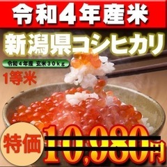 【特価】新潟県　令和4年度コシヒカリ30キロ玄米