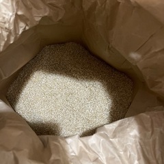 (引き取り手決まりました)去年度のお米 コシヒカリ 20キロ