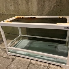 パンテオン6030 中古